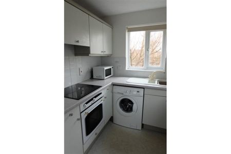 Studio to rent - Photo 5