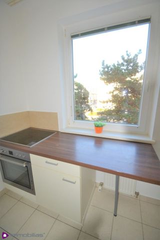 Ein Katzensprung zur U2 und zum Mühlwasser! - Foto 4