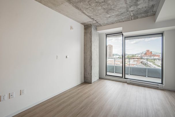 Rue St-Hubert, H2Y 0B9, Montréal - Photo 1