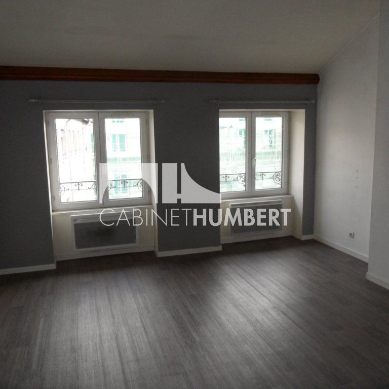 Location Appartement 1 pièce 31m² ST ETIENNE 42000 - Photo 1