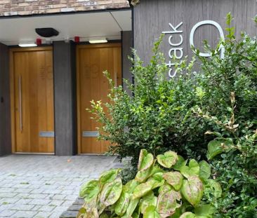 Castle Boulevard Non - Ensuite - Photo 5