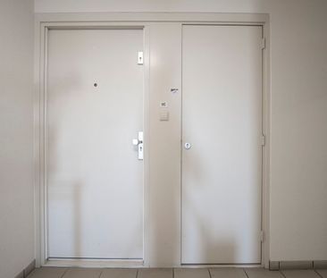 Hermelijnvlinder 49, Vlindertuin, 1113LC, Diemen - Photo 6