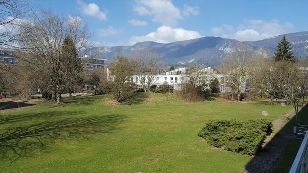 PERFECT FOR SINGLES - Photo 1