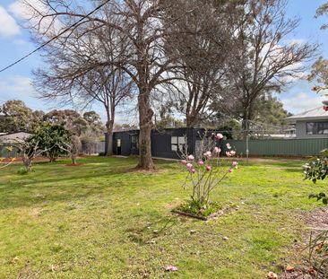 10 Pope Street, Hughes ACT 2605 - House For Rent | Domain - Photo 6