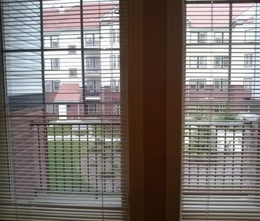 Spacious 2 BDRMS CONDO WITH GREAT VIEW in Royal Oak! - Photo 2