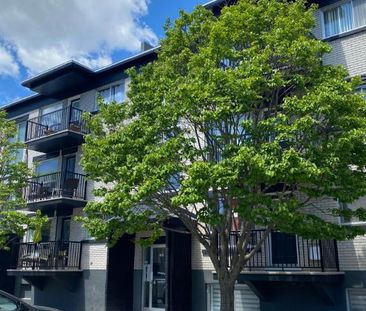 3 1/2 Limoilou chauffé eau chaude 1er février - Photo 1