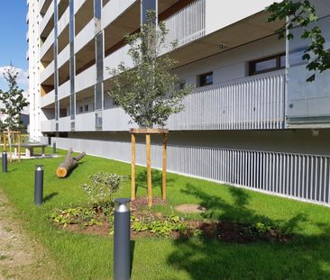 MIETAKTION - ABENDSONNE BIS ZUM SCHLUSS - 2-ZIMMERWOHNUNG MIT TOPAU... - Foto 3