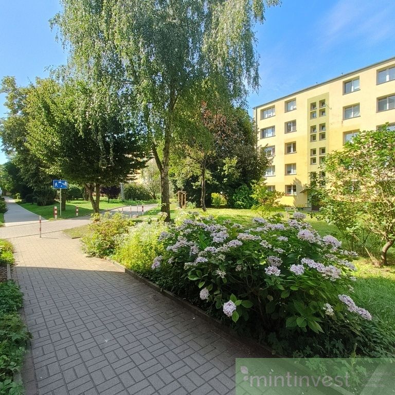 2-pokojowe mieszkanie na wynajem, Pomorzany. - Photo 1