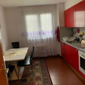 2 Zimmer, 70 m², EG - Foto 2