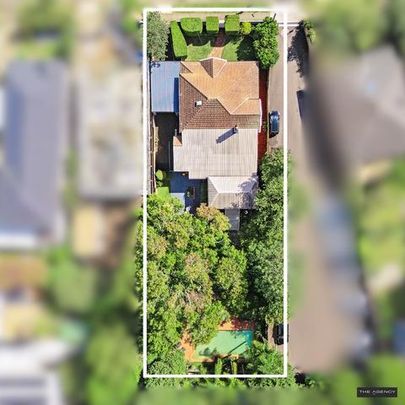 54 Fullers Road, Chatswood NSW 2067 - House For Rent | Domain - Photo 1