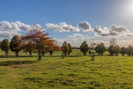 Southfields, Blakesley - Photo 5