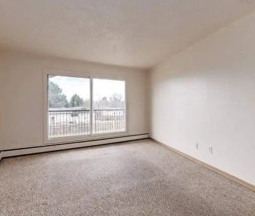 1 Bedroom - Photo 6