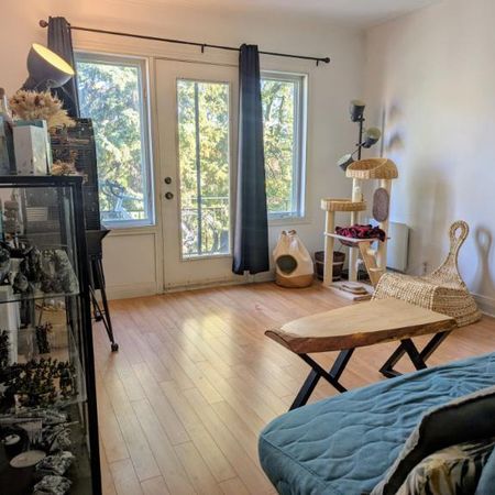4 1/2 - Montréal (Ahuntsic) - 1 750 $/mois - Photo 4