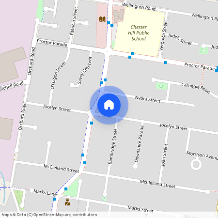 60A Jocelyn Street, Chester Hill 2162, New South Wales