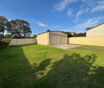 Elegant Elder - Photo 4