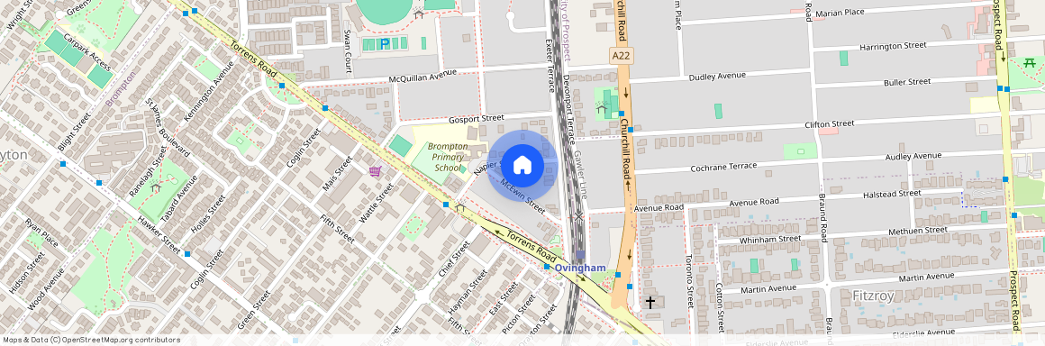 8 Napier Street, SA 5008, Renown Park