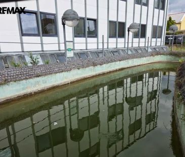Pronájem bytu 1+1 v Opočně, ulice Pohořská - Fotografie 5