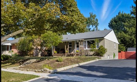 For Lease - 27 Broadmoor Avenue Unit# Bsmt, Kitchener, Ontario - Photo 4