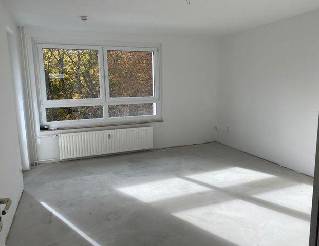 Gemütliche Etagenwohnung in Braunschweig - Perfekt für Paare oder kleine Familien! - Photo 1