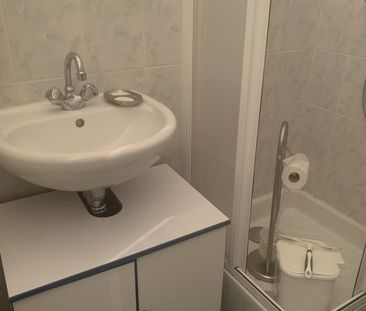 Location Appartement 1 pièce 14m² CHAMBERY 73000 - Photo 4