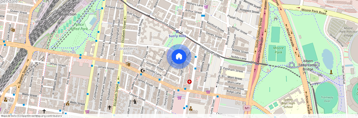 37 Lansdowne Street Surry Hills NSW