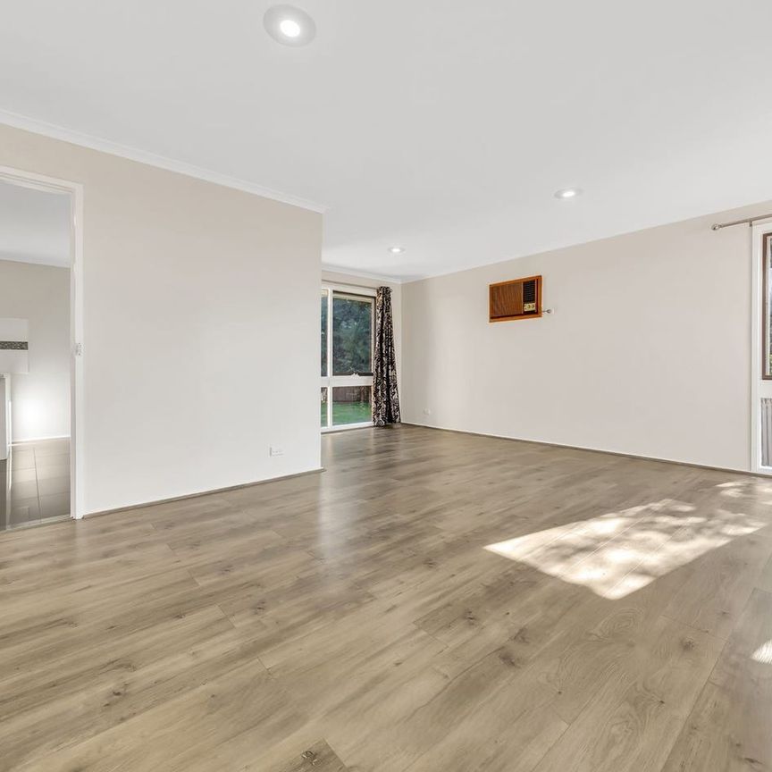 Handy, Quiet Court Location! - Photo 1