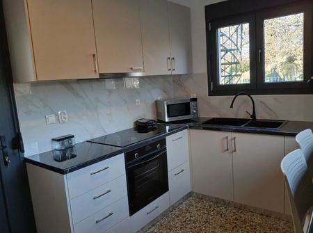 Μονοκατοικία για ενοικίαση Νέο Χαλάνδρι (Χαλάνδρι) - Photo 4