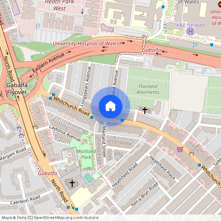 CF14 3NE, Cardiff