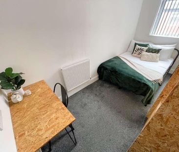 Holmes Street, L8 - Photo 5