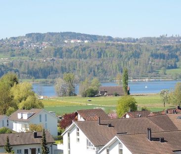 "Grosszügige Wohnung am Greifensee" - Foto 1
