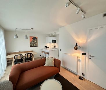 Rue du Colombier, 1000, Bruxelles - Photo 4