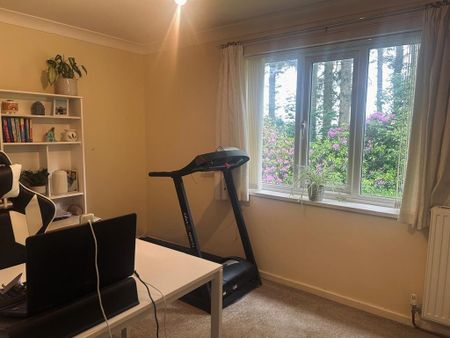 2 bedroom house to rent - Photo 4