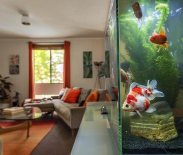 2 Bowden Place, Melba ACT 2615 - House For Rent | Domain - Photo 4