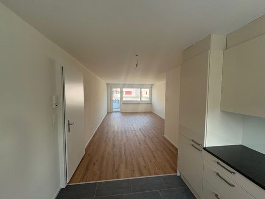 Erstvermietung von totalsanierter 3.5-Zimmer-Wohnung an zentraler Lage in Dietikon - Photo 1