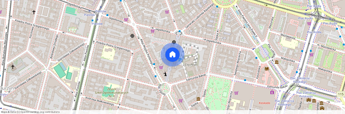 Księcia Bogusława X, Szczecin, Śródmieście-Centrum