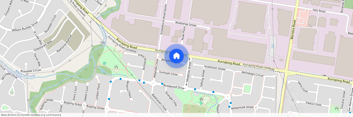 16 Bergalia Close, NSW 2170, Prestons