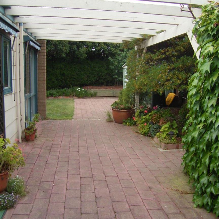 24/5 Beasley Street, Torrens ACT 2607 - Townhouse For Rent | Domain - Photo 1