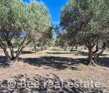 Μονοκατοικία για ενοικίαση Αγγελοχώρι (Μηχανιώνα) - Photo 3