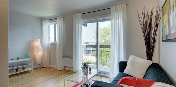 Appartement 3 ½ à louer Vanier juillet 2026 - Photo 2