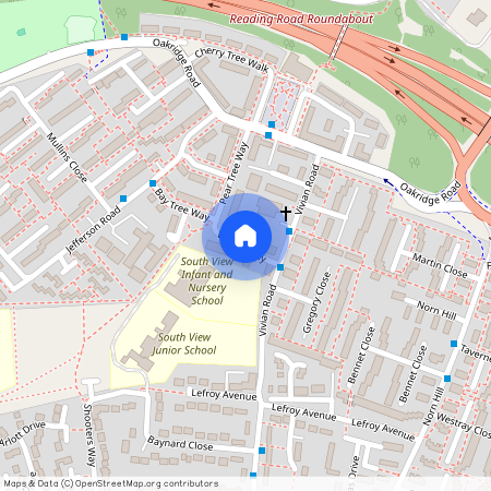 Walnut Way, Oakridge, Basingstoke, RG21