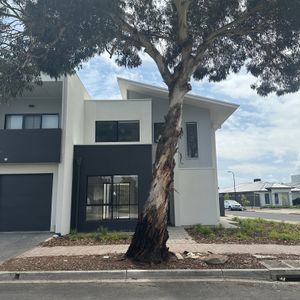 Morphettville - Photo 3