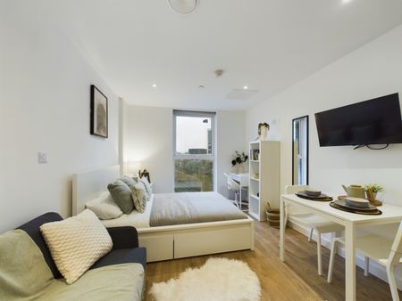 Studio Flat, Frederick Road, M6 - Photo 4