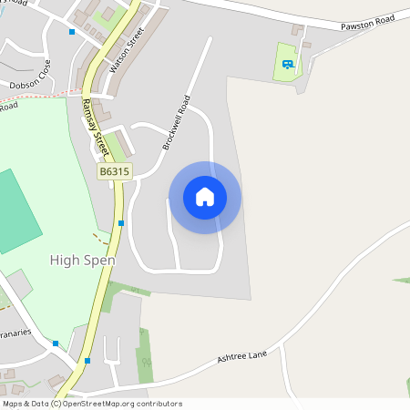 Ashtree Avenue, High Spen, NE39