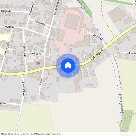 Rybjergvej 16 A st., 7870, Roslev