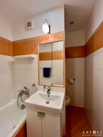 Pronájem bytu 1+1 32 m - Fotografie 4