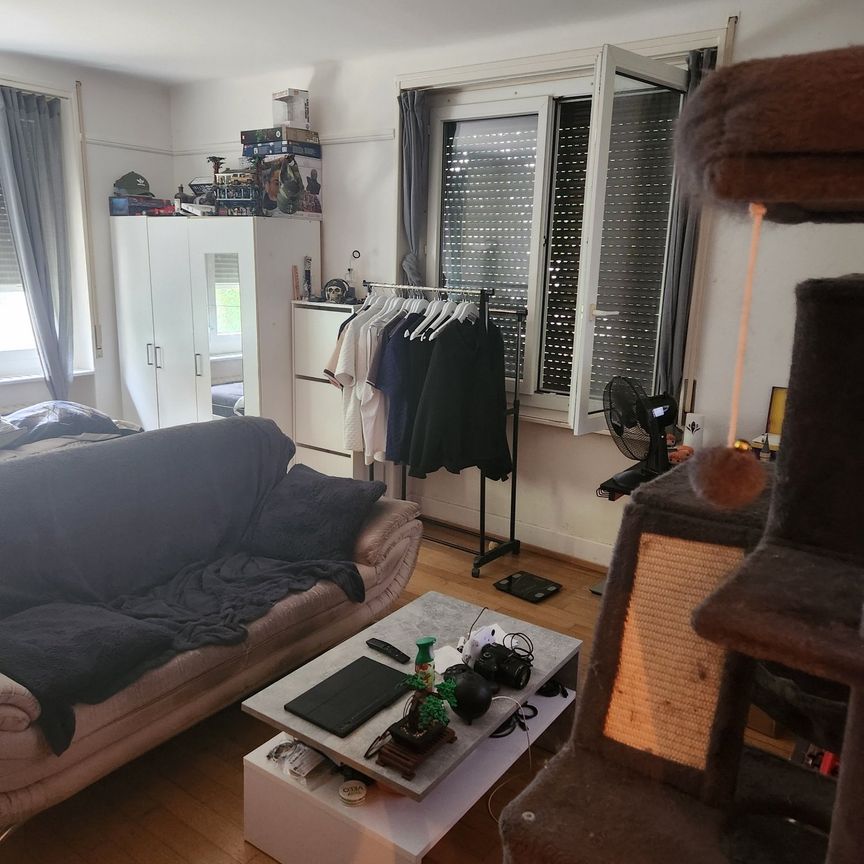 URGENT Studio 1 pièce 41m2 à Chailly - Foto 1