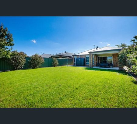 513 Hovell Street, Albury, NSW 2640 - Photo 4