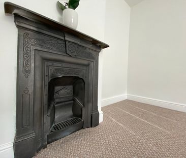 Cow Close Road - Photo 2