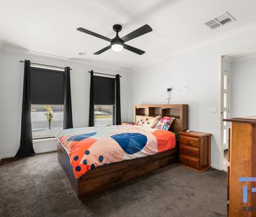 NEAT HOME WITH SIDE ACCESS AND SHEDDING! - Photo 6