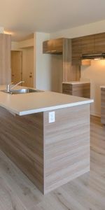 Logement 5 1/2 - Décembre 2025 - Photo 3